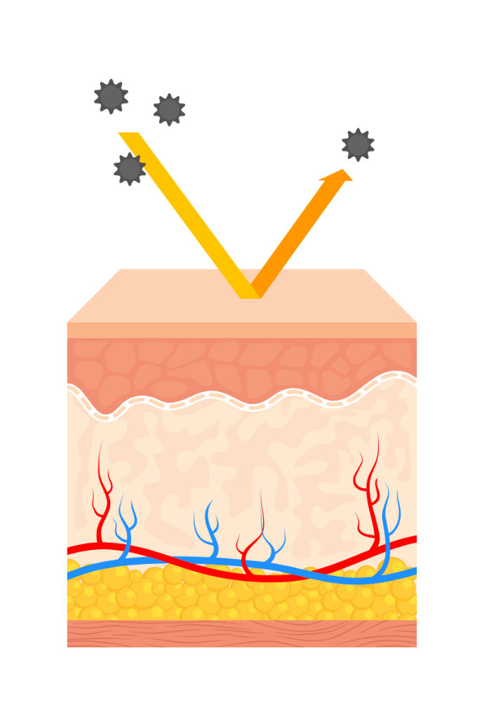 Schéma simplifié de la barrière cutanée et de son rôle protecteur pour la peau
